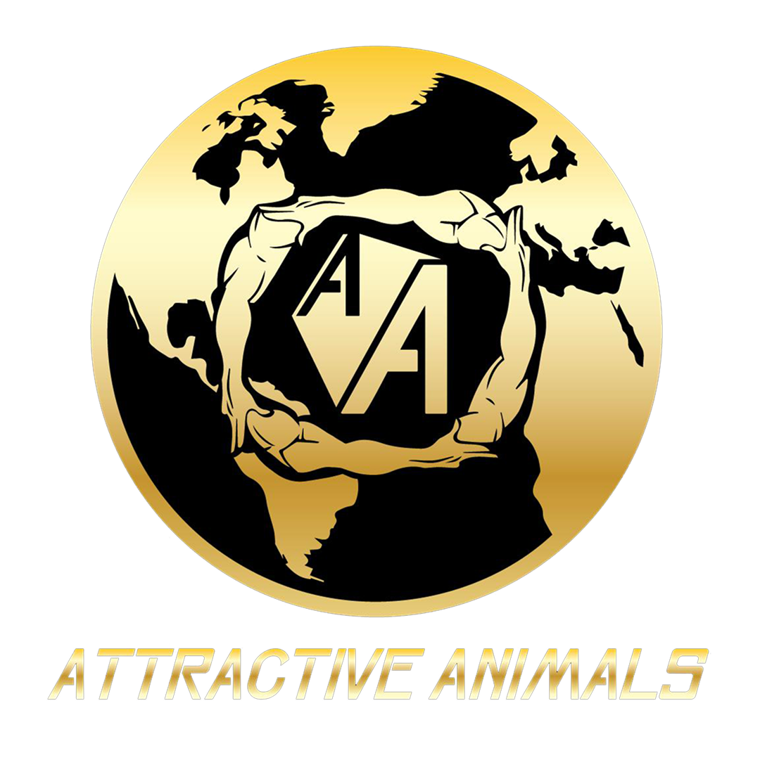 Attractive Animals 